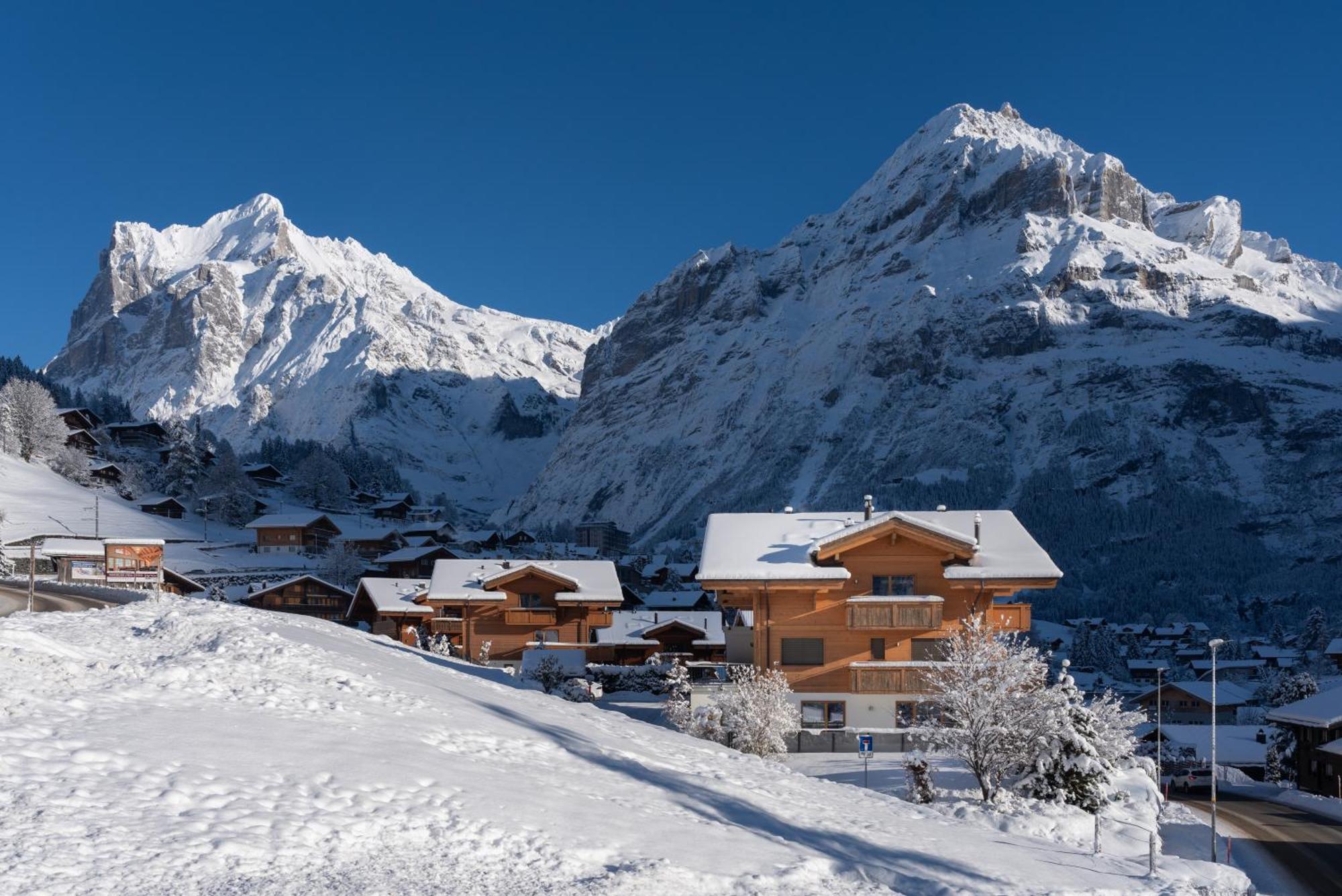 Chalet Alia And Apartments-Grindelwald By Swiss Hotel Apartments Kültér fotó