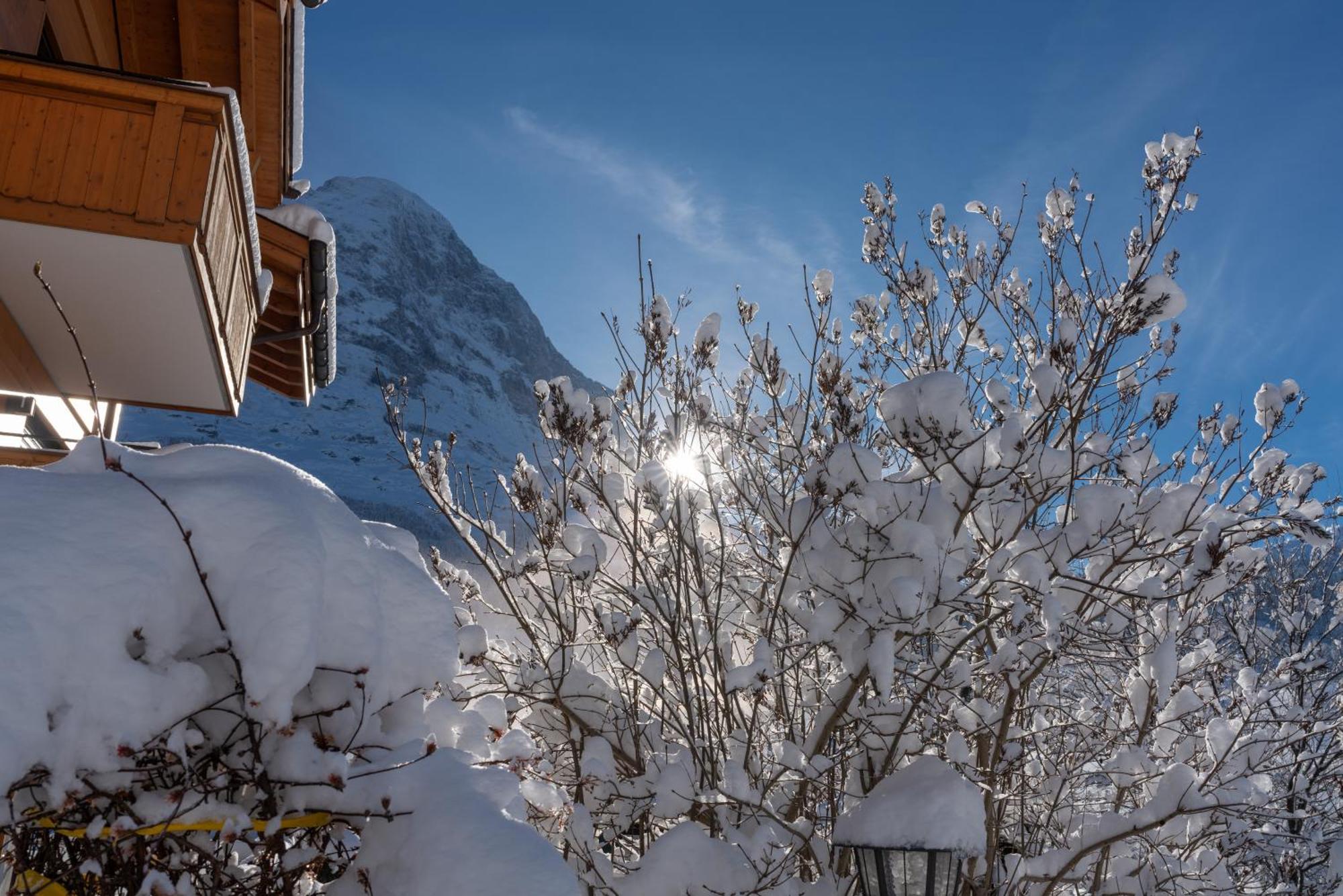 Chalet Alia And Apartments-Grindelwald By Swiss Hotel Apartments Kültér fotó